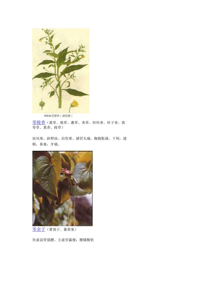 3000种中医药材第13011400种.docx_第1页