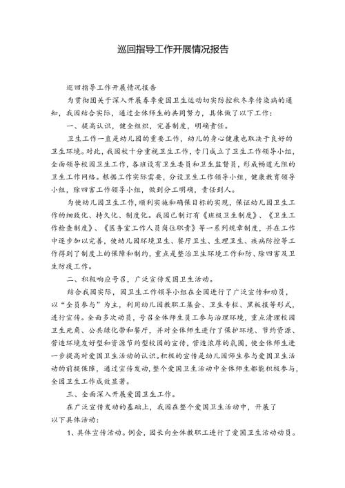巡回指导工作开展情况报告.docx