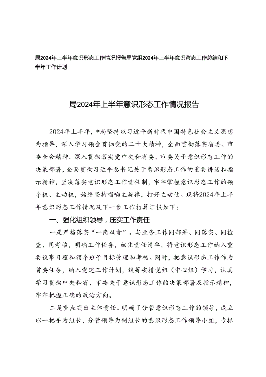 2篇 局党组2024年上半年意识形态工作总结和下半年工作计划、工作情况报告.docx_第1页