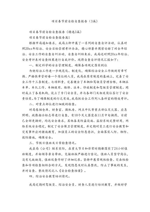 项目节前自检自查报告（3篇）.docx