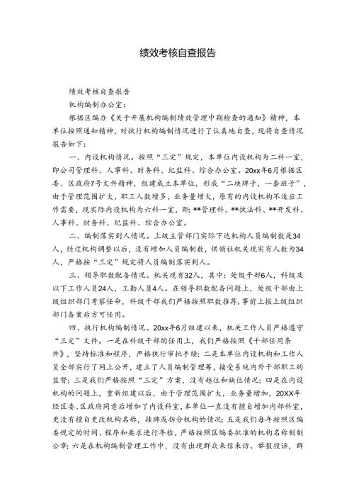 绩效考核自查报告.docx