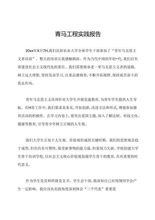 青马工程实践报告.docx