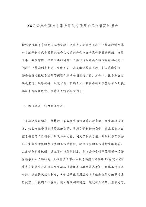 XX区委办公室关于牵头开展专项整治工作情况的报告.docx
