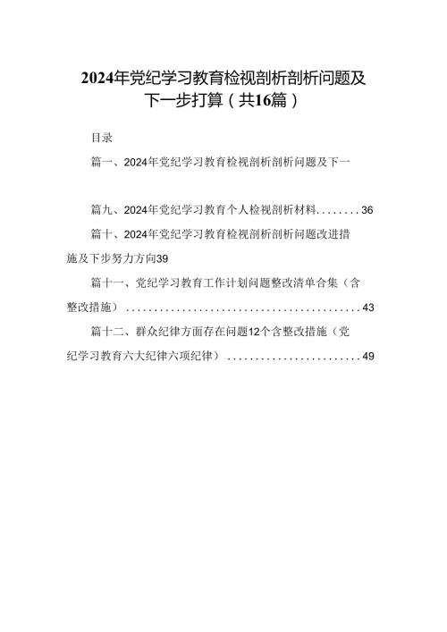 （16篇）2024年党纪学习教育检视剖析剖析问题及下一步打算范文.docx