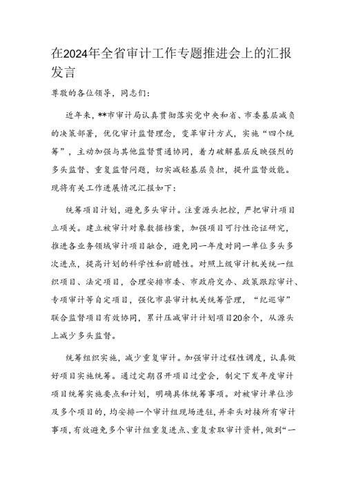 在2024年全省审计工作专题推进会上的汇报发言(1).docx