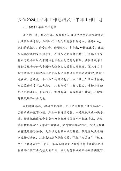 乡镇2024上半年工作总结及下半年工作计划(1).docx
