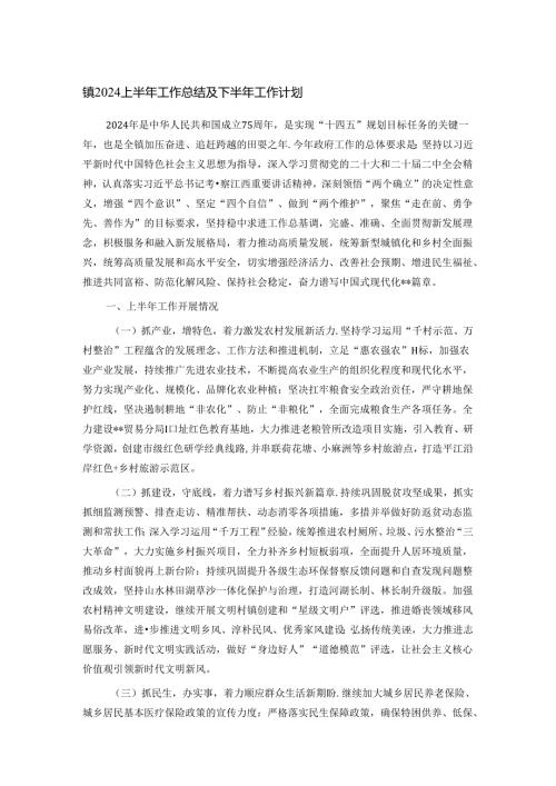 镇2024上半年工作总结及下半年工作计划.docx