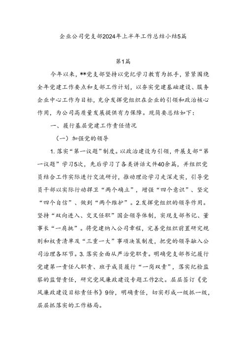 企业公司党支部2024年上半年工作总结小结5篇.docx