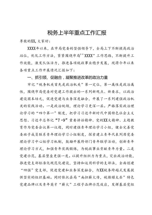 税务局2024年上半年重点工作汇报(1).docx