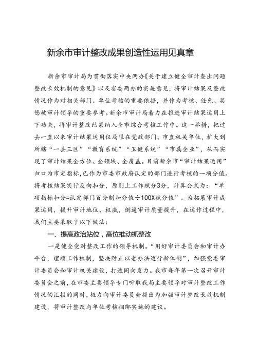 新余市审计整改成果创造性运用见真章.docx