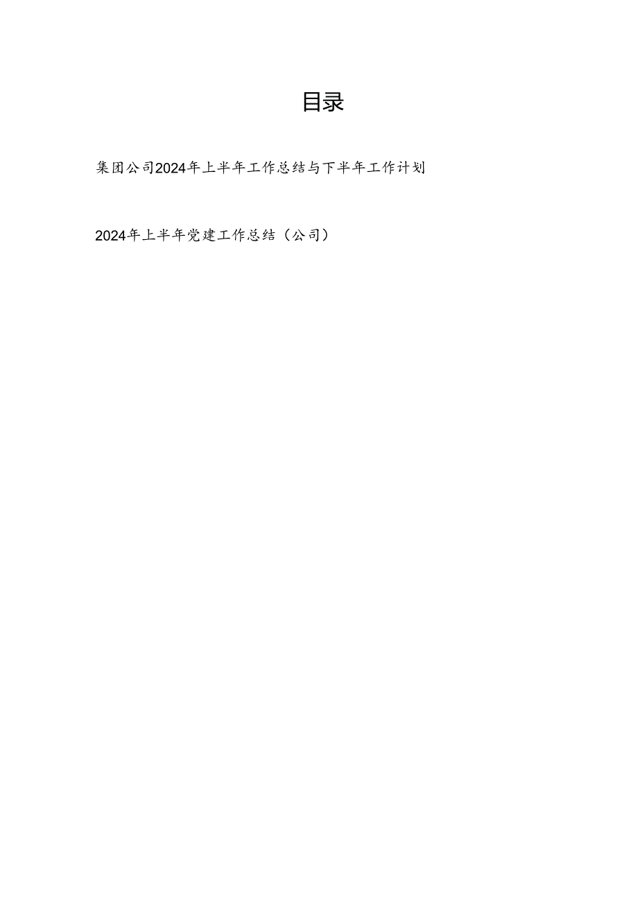 集团公司2024年上半年工作总结与下半年工作计划和党建工作总结.docx_第1页