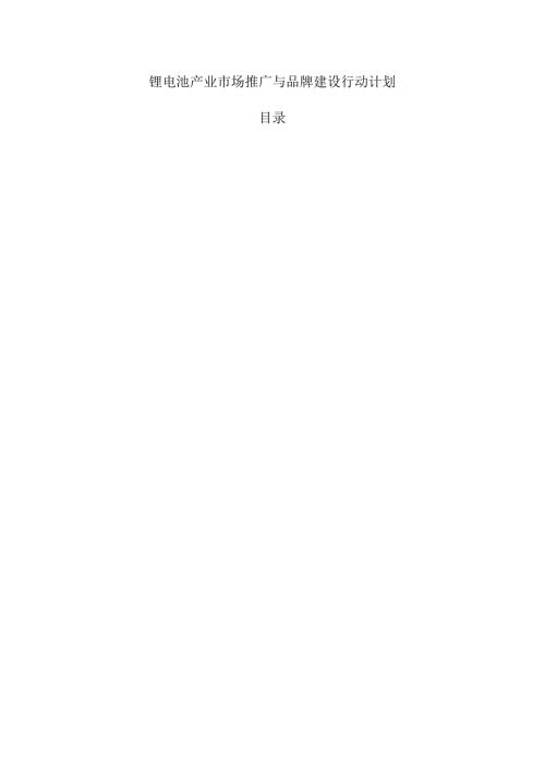 锂电池产业市场推广与品牌建设行动计划.docx