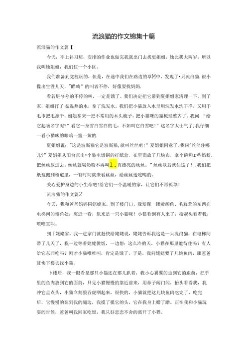 流浪猫的作文锦集十篇.docx
