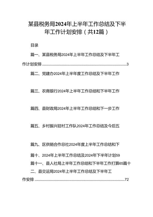 某县税务局2024年上半年工作总结及下半年工作计划安排12篇供参考.docx