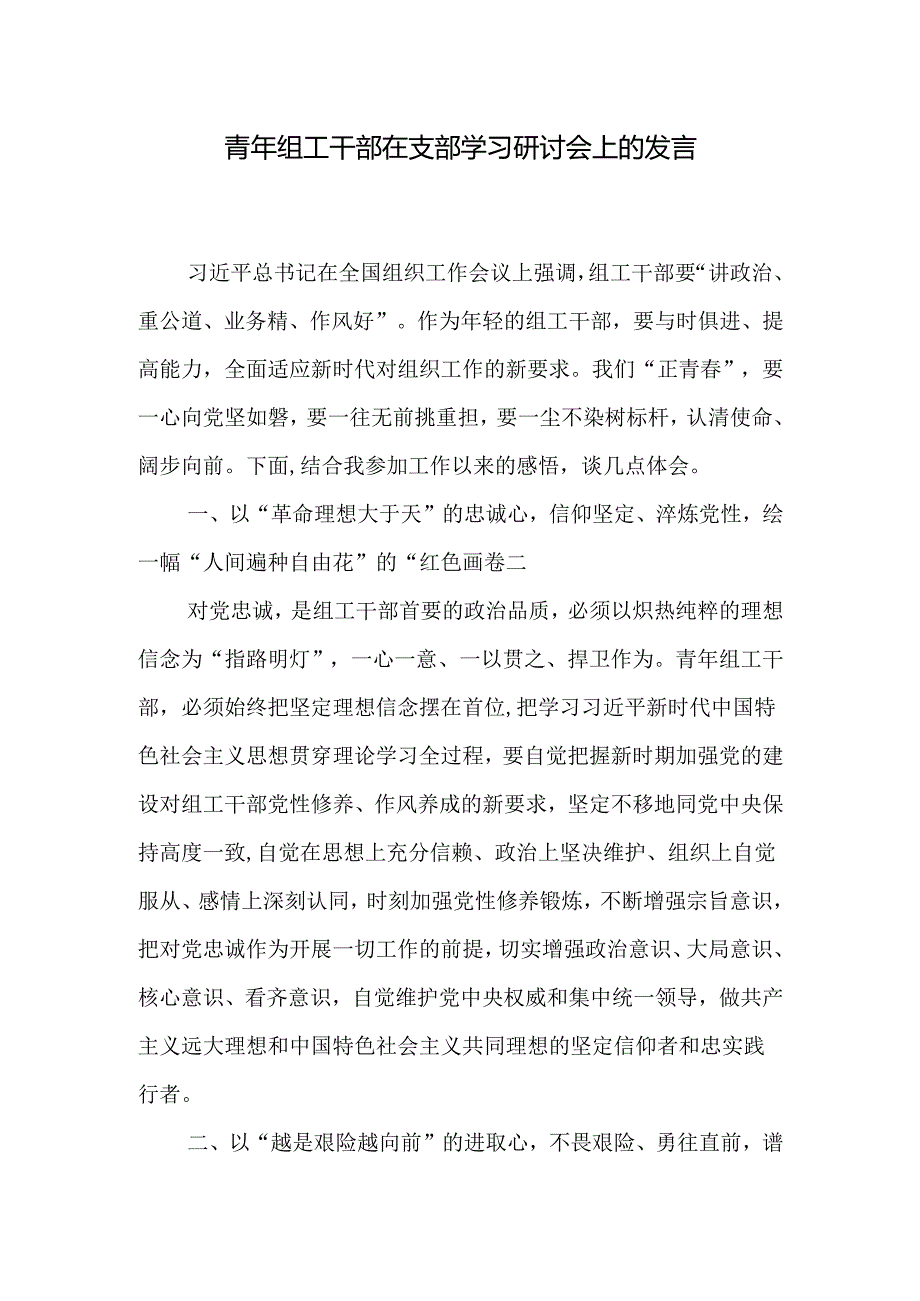 青年组工干部在支部学习研讨会上的发言和市委组织部部长关于青年工作的交流发言.docx_第2页