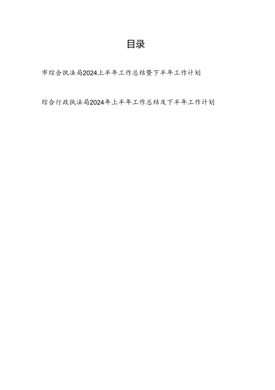 综合(行政)执法局2024上半年工作总结暨下半年工作计划2篇.docx_第1页