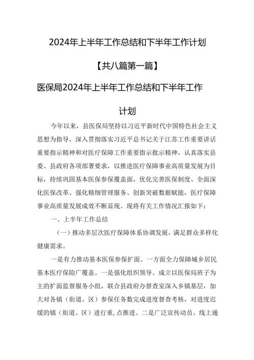 （8篇）2024年上半年工作总结和下半年工作计划.docx