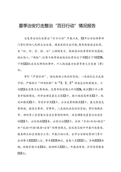 2024年公安开展夏季治安打击整治行动总结汇报13篇.docx