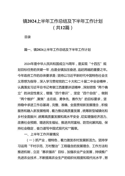 镇2024上半年工作总结及下半年工作计划（共12篇）.docx