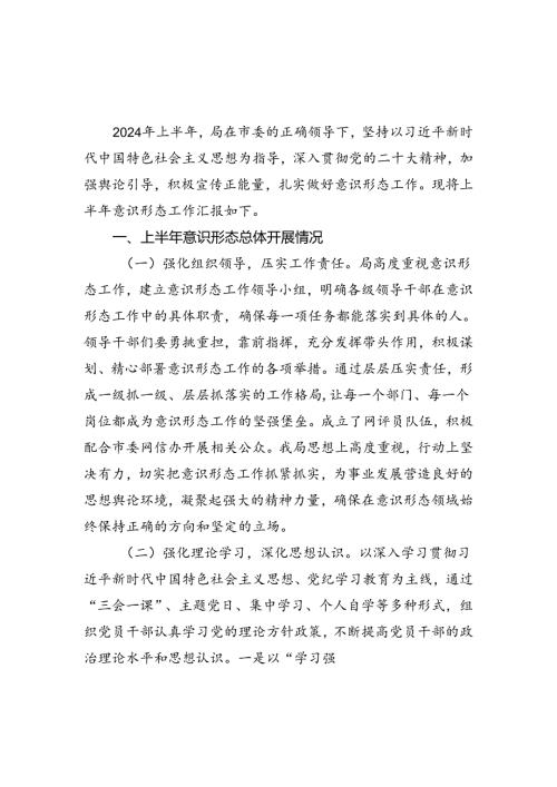 2024年上半年意识形态工作情况报告汇编.docx