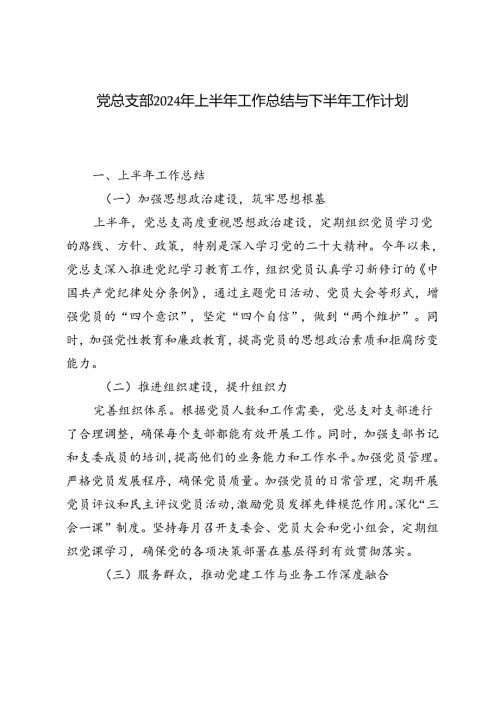 3篇 党总支部2024年上半年工作总结与下半年工作计划.docx