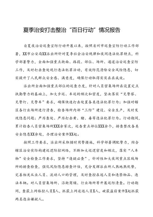 派出所2024公安夏季治安打击整治行动情况报告七篇.docx