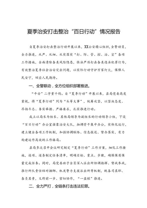 2024年公安夏季治安打击整治行动情况汇报15篇.docx