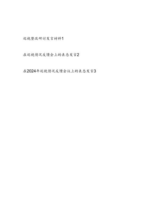 2024巡视整改研讨发言材料和在巡视情况反馈会上的表态发言3篇.docx