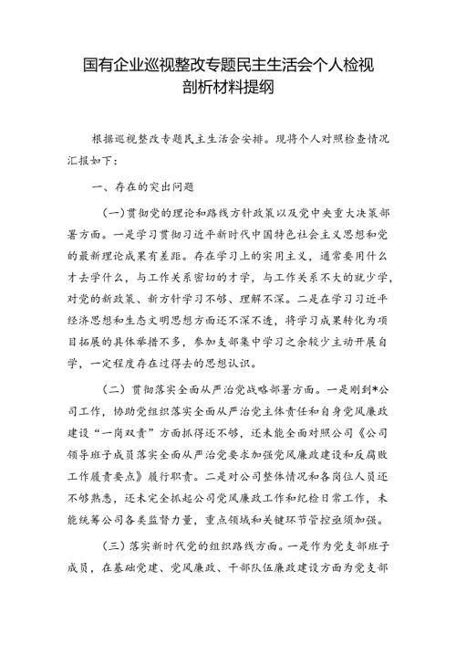 国有企业公司巡视整改专题民主生活会四个方面个人检视剖析材料提纲检查材料.docx