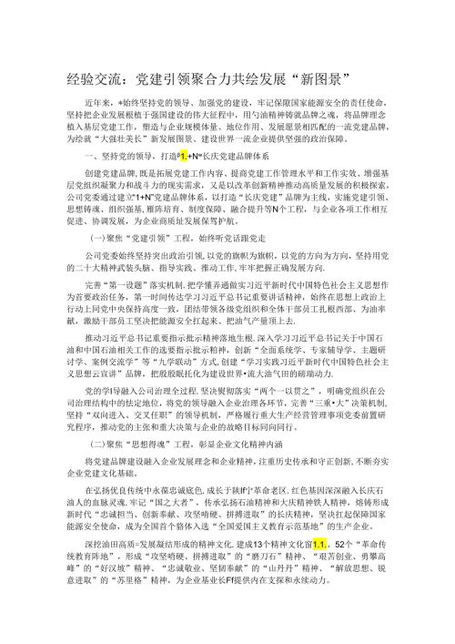 经验交流：党建引领聚合力 共绘发展“新图景”.docx