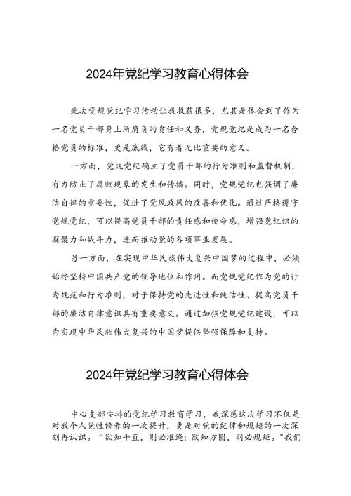 2024年党纪学习教育专题培训发言材料十五篇.docx