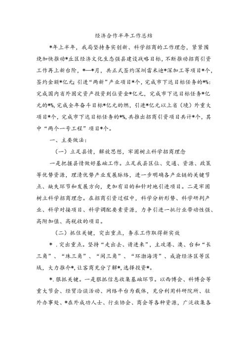 经济合作半年工作总结.docx