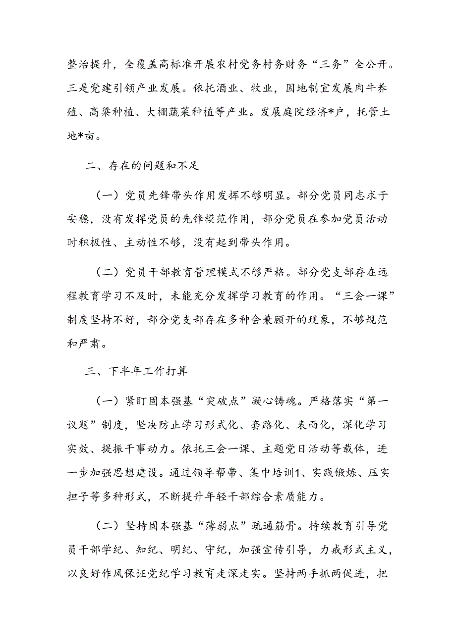 乡镇2024年上半年基层党建工作总结二篇.docx_第3页