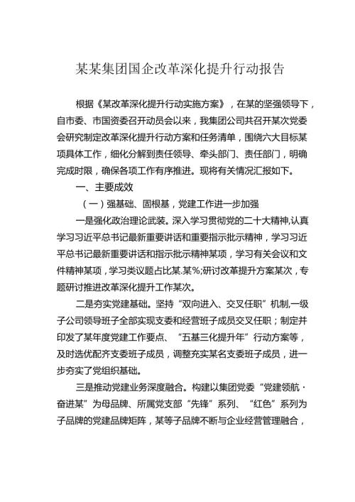 某某集团国企改革深化提升行动报告.docx