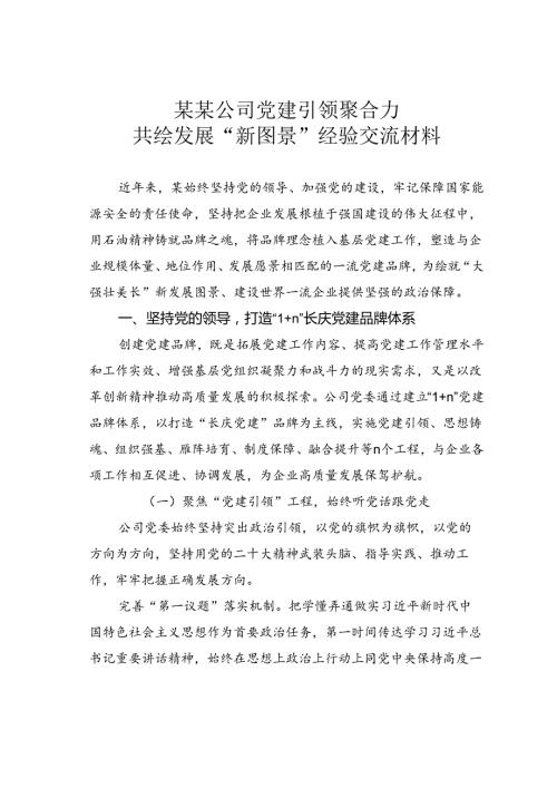某某公司党建引领聚合力共绘发展“新图景”经验交流材料.docx