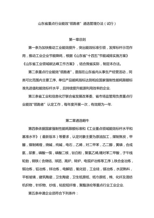 山东省重点行业能效“领跑者”遴选管理办法（试行）全文及报告.docx