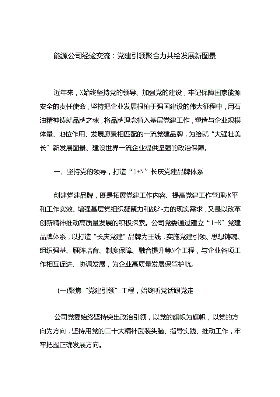 20242025公司党委党建工作经验交流总结材料7篇.docx_第2页