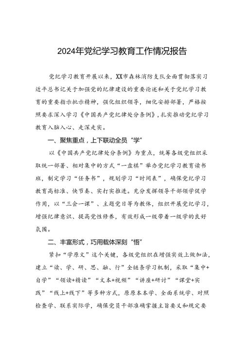 扎实推进党纪学习教育走实走深情况报告(10篇).docx