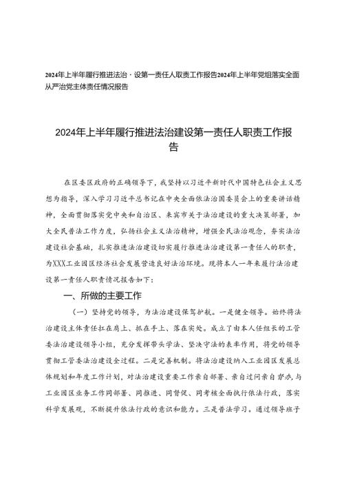 2024年上半年党组落实全面从严治党主体责任情况报告、2024年上半年履行推进法治建设第一责任人职责工作报告.docx