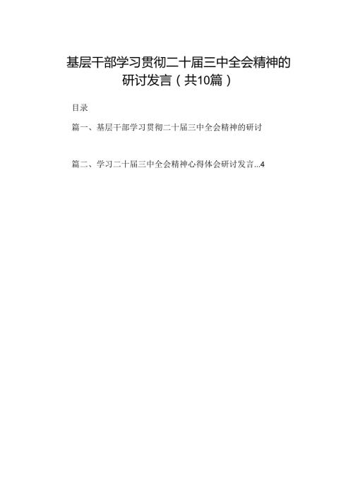 10篇基层干部学习贯彻二十三中全会精神的研讨发言（详细版）.docx