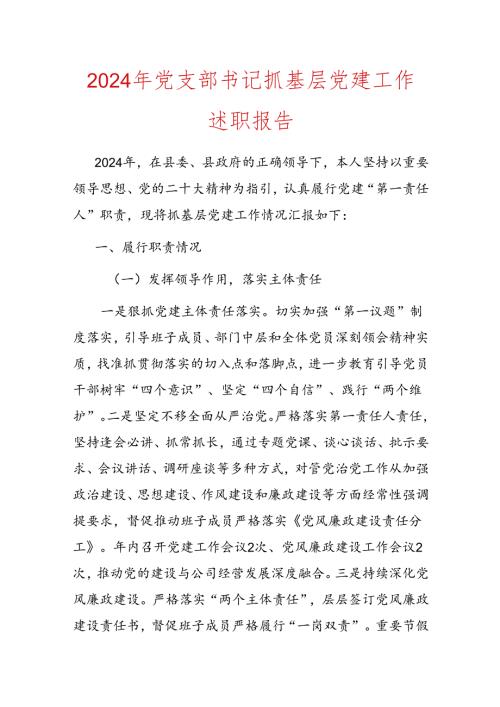 2024年党支部书记抓基层党建工作述职报告.docx