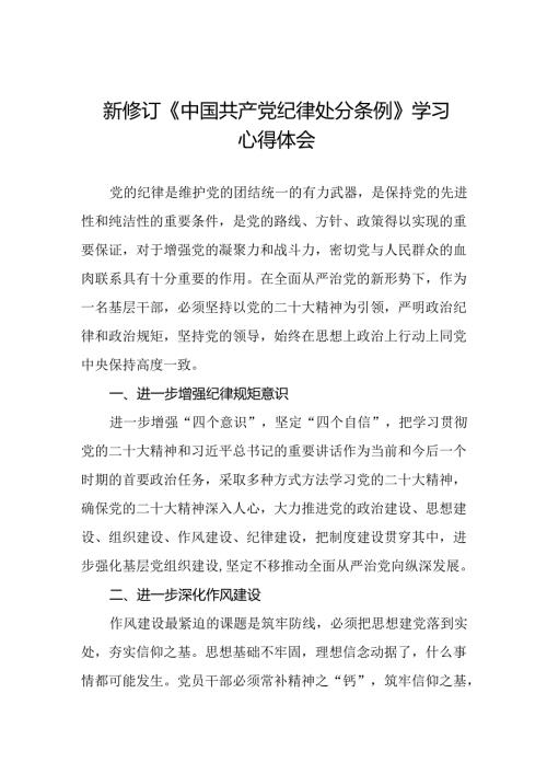 纪检干部学习2024新修订中国共产党纪律处分条例心得体会七篇.docx
