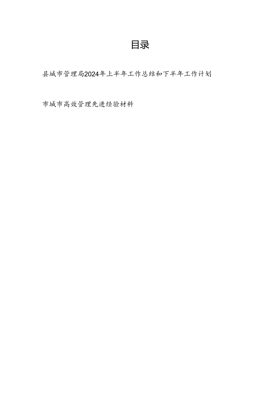 县城市管理局2024年上半年工作总结和下半年工作计划和某市城市高效管理先进经验材料.docx_第1页