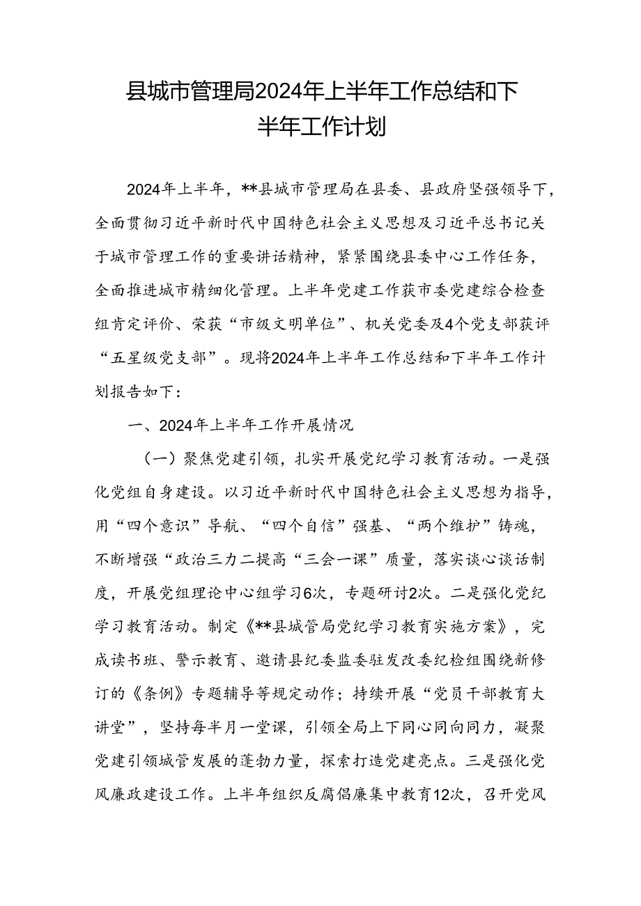 县城市管理局2024年上半年工作总结和下半年工作计划和某市城市高效管理先进经验材料.docx_第2页