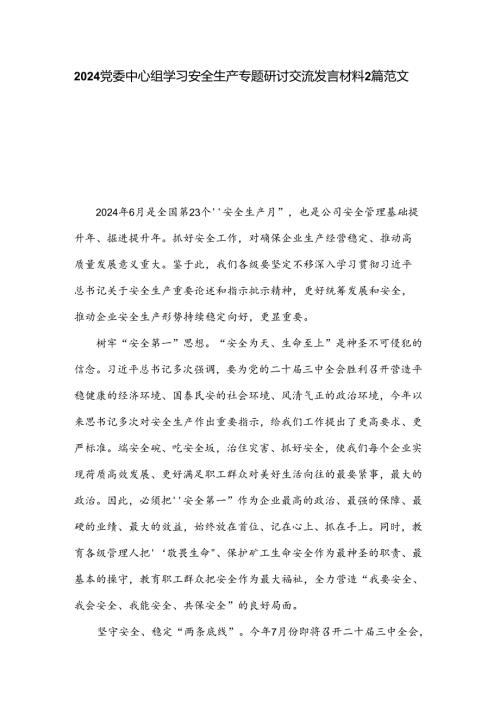 2024党委中心组学习安全生产专题研讨交流发言材料2篇范文.docx