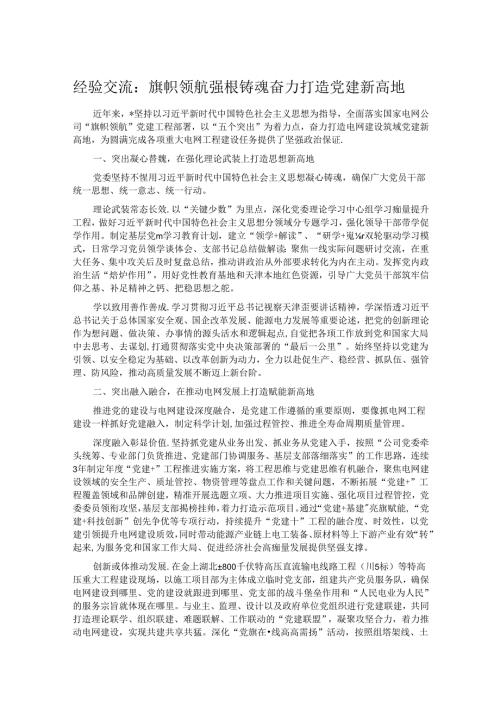 经验交流：旗帜领航 强根铸魂 奋力打造党建新高地(1).docx
