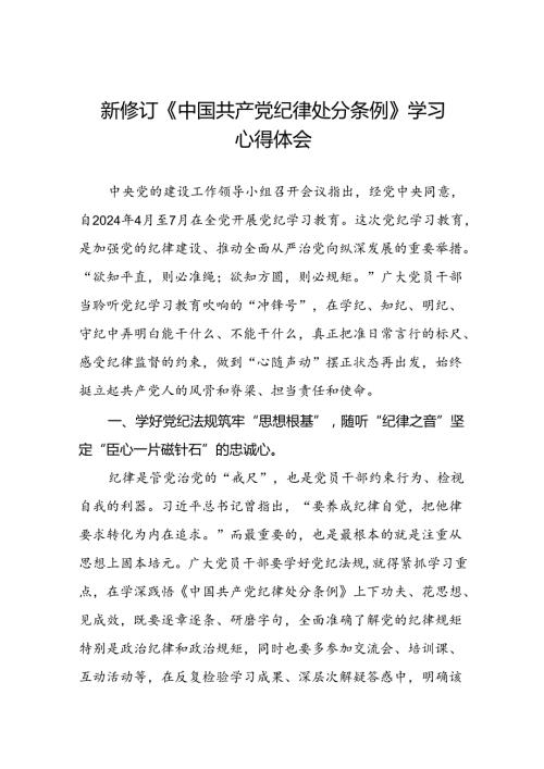 2024版新修订中国共产党纪律处分条例研讨交流发言十篇.docx