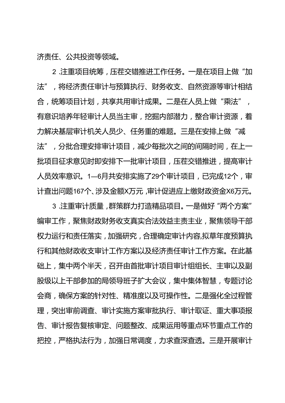 县审计局2024上半年工作总结.docx_第2页
