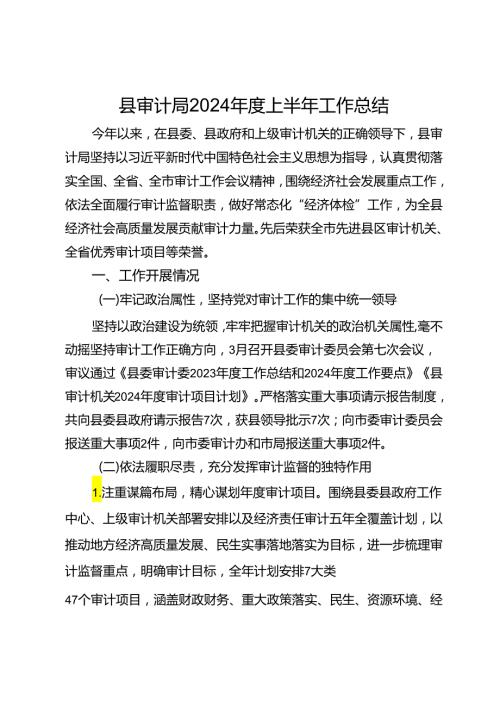 县审计局2024上半年工作总结.docx