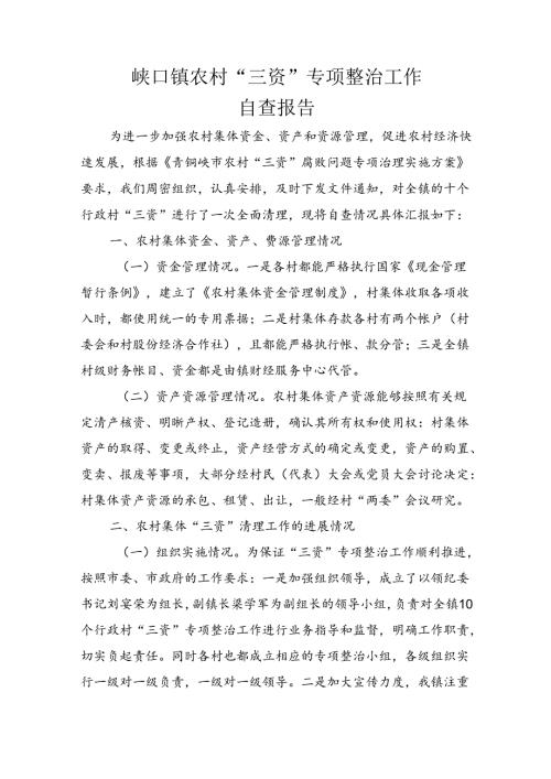 峡口镇农村“三资”专项整治工作自查报告.docx